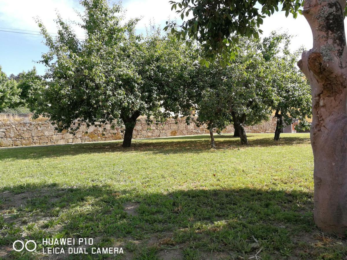Casas Marias De Portugal - Cerveira Apartment Vila Nova de Cerveira Bagian luar foto